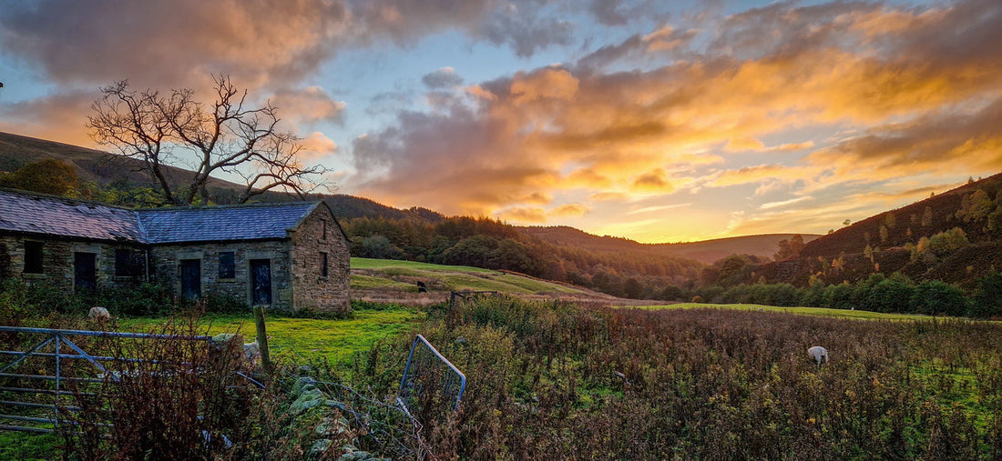 What Does Living Off-Grid Mean?